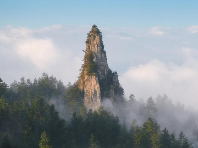 盈科美辰国际旅行社有限公司郑州紫辰路营业部